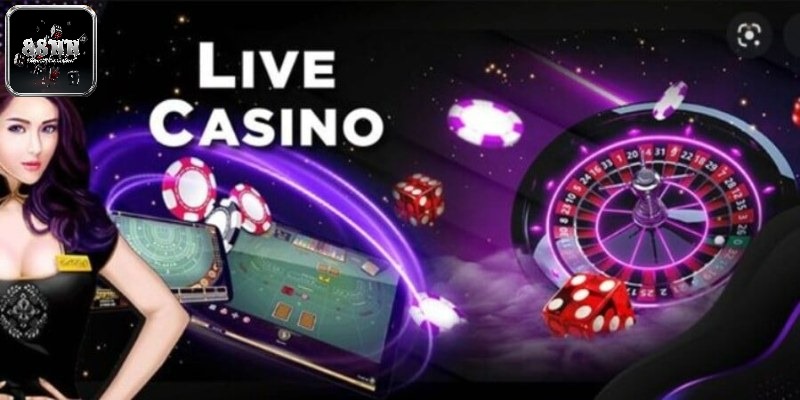 Tổng quan về sảnh live casino