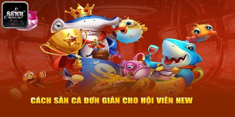 Hướng dẫn cách chơi hiệu quả